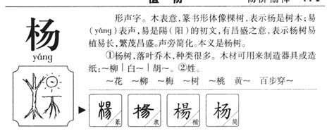 楊五行|杨字的五行属性